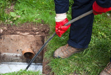 Drain Cleaning 101: What You Need to Know